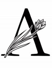 Seller Avatar